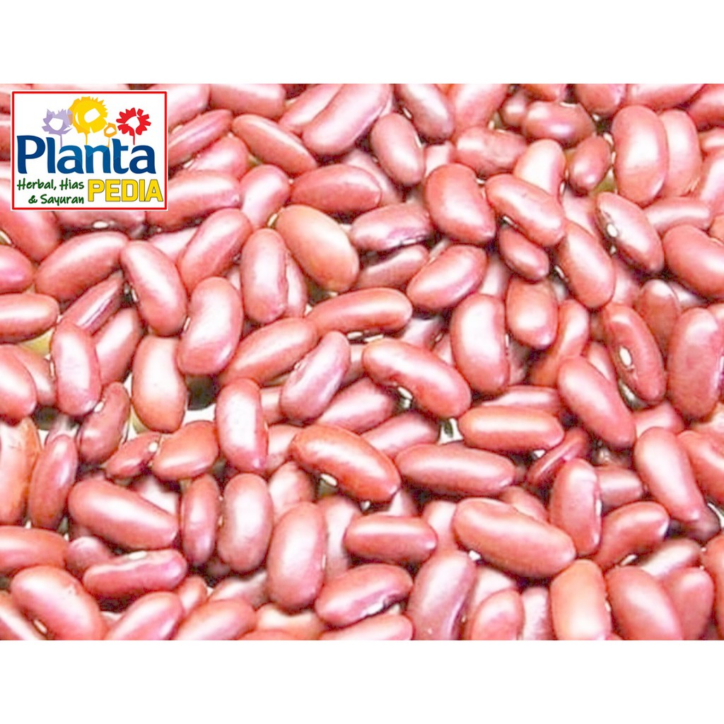 

KACANG MERAH SAYURAN SEGAR MAKANAN SEGAR MINUMAN DIET SEHAT JANTUNG BUMIL IBU HAMIL BAYI BALITA