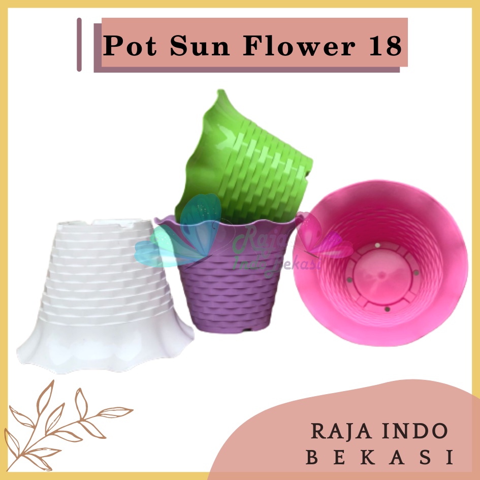 Pot Bunga Sun Flower MDN 18 Warna pot bunga cantik murah bagus ukuran 18 bukan tawon Pot Bunga Plastik Besar Gantung Hias Panjang Kecil Putih - Pot bunga SUN FLOWER MDN 10cm WARNA WARNI Pot Kecil Mini Pot Kaktus