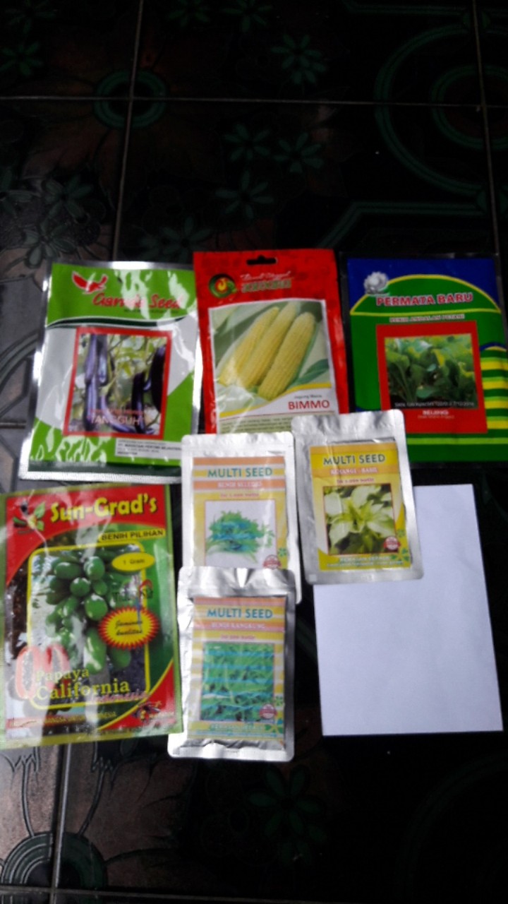 Isi 50 Gram Bibit Jagung Manis Bimmo | Benih Jagung | Biji Jagung Manis | Bibit Unggul