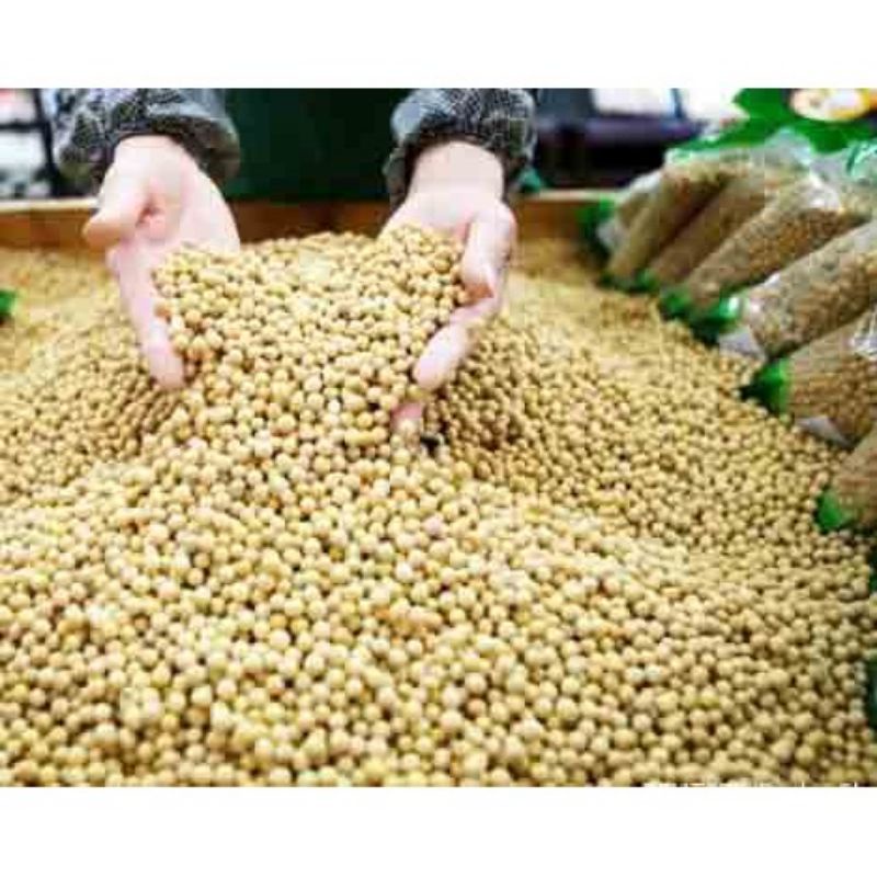 

kedelai import USA 1kg