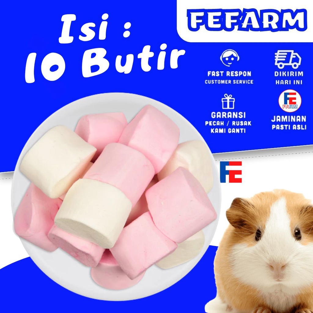 MAKANAN HAMSTER SUGAR GLIDER SNACK HAMSTER SUGAR GLIDER KELINCI FEFARM