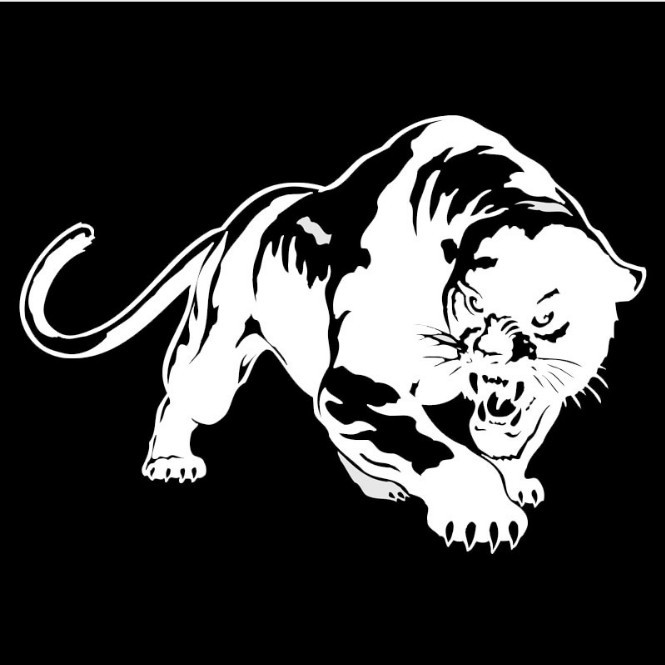 Logo Harimau Putih Keren Logo Keren
