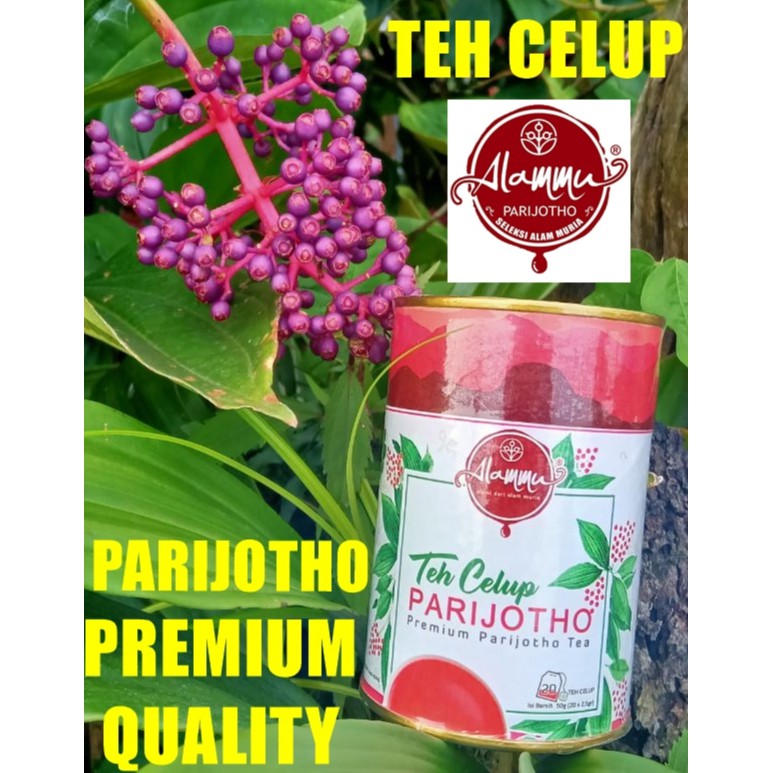 

Teh Celup Parijotho Premium Tea 50 gram by Sirup Parijotho parijoto