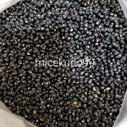 

KACANG GUDE ASLI BALI / UNDIS KERING / KAYO / PIGEON PEA PEAS DRY