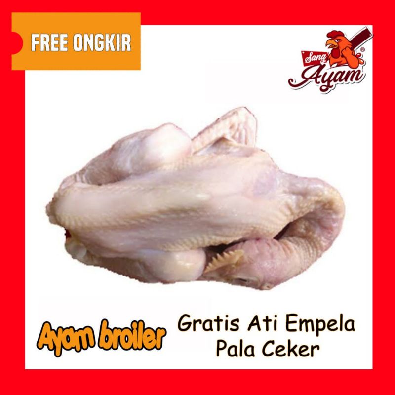 

ayam fresh