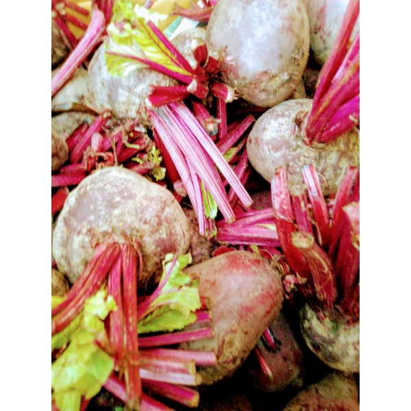 buah bit segar 1kg