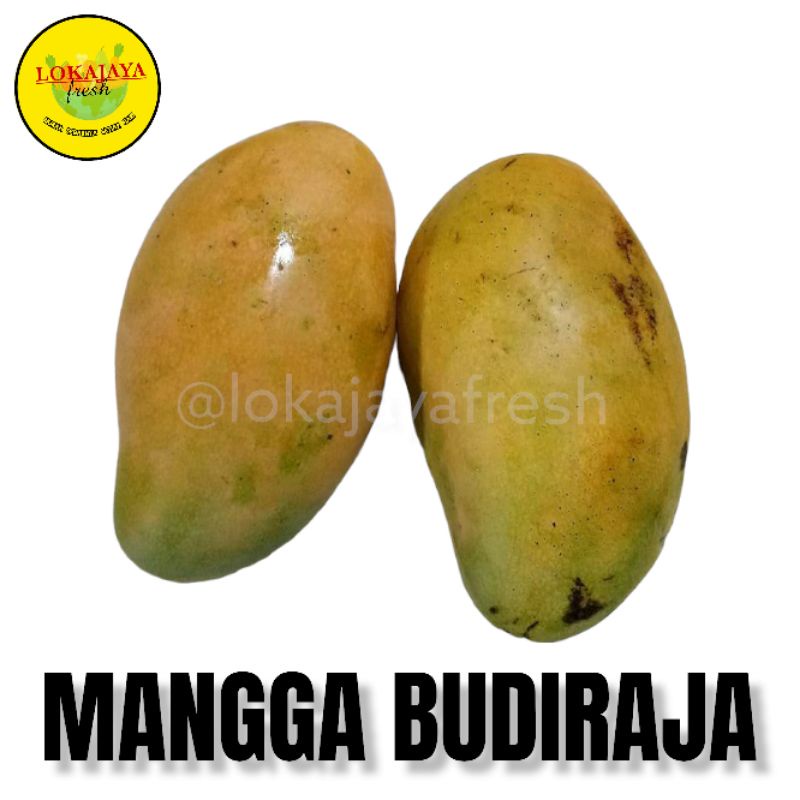 

Mangga Budiraja 1 Kg