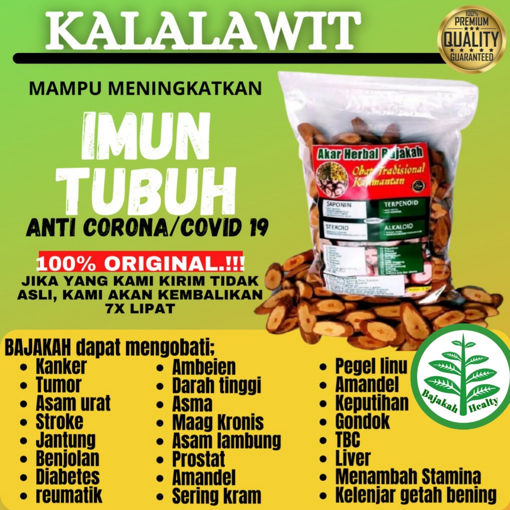 

Akar Herbal Bajakah Kalalawit Merah Untuk Imun Tubuh Obat Tumor Obat Kanker Asli Kalimantan