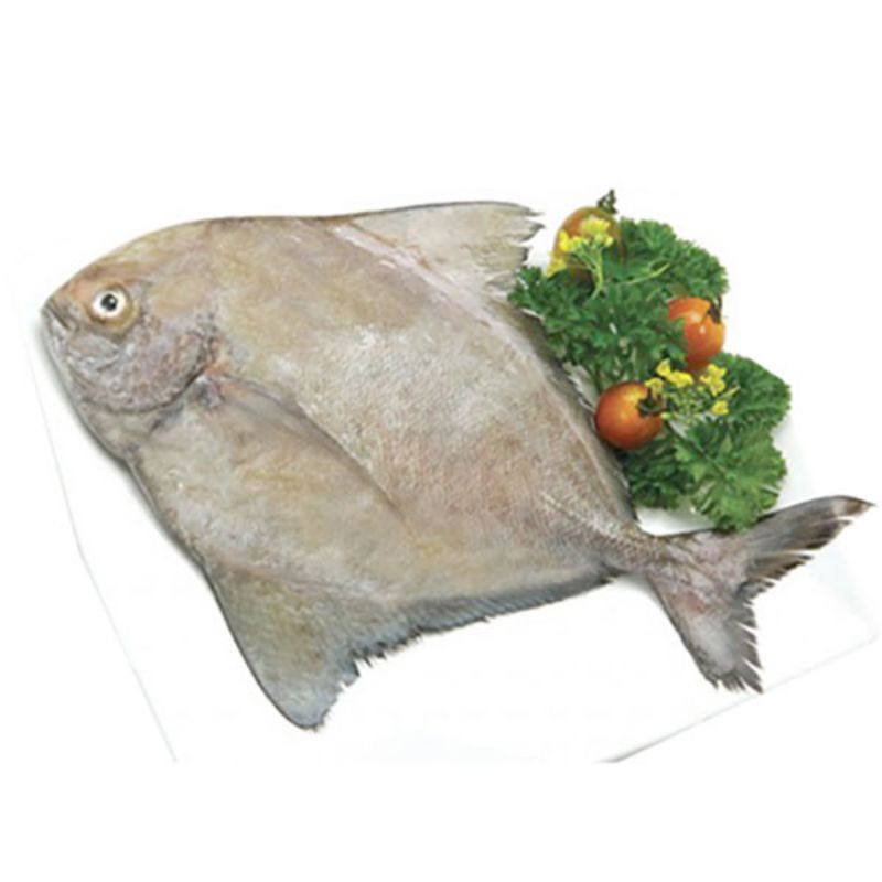 

1kg bawal hitam beku kapal