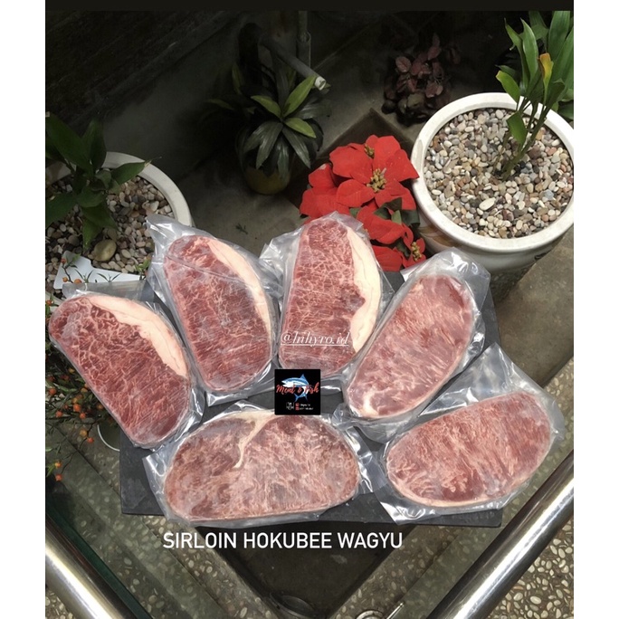 

WAGYU SIRLOIN PREMIUM MELTIQ | SIRLOIN HOKUBEE | SIRLOIN MELTIQUE