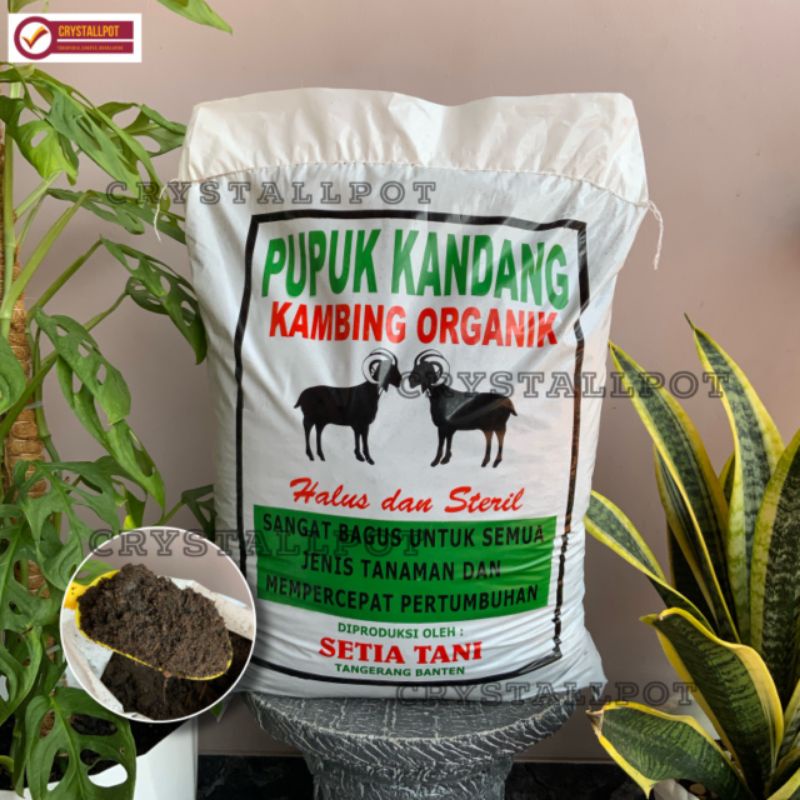 pupuk kandang kambing organik halus dan steril mempercepat pertumbuhan