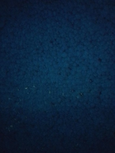 Dop Tutup Pipa Hidroponik 2 1/2 Inch Output 3/4 Inch