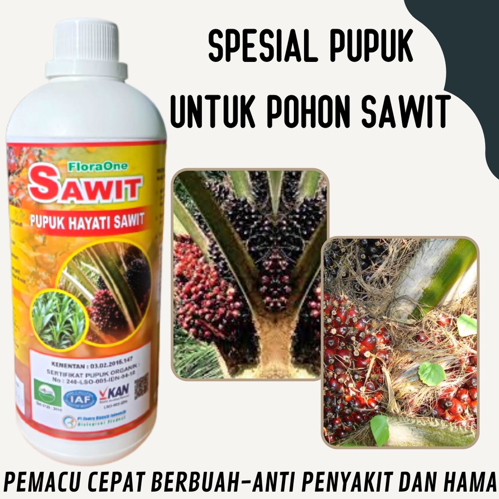 Jual Pupuk Sawit Yang Bagus Pupuk Kelapa Sawit Sumatera Nutrisi Sawit