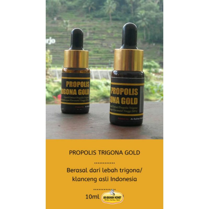 Propolis Trigona Gold