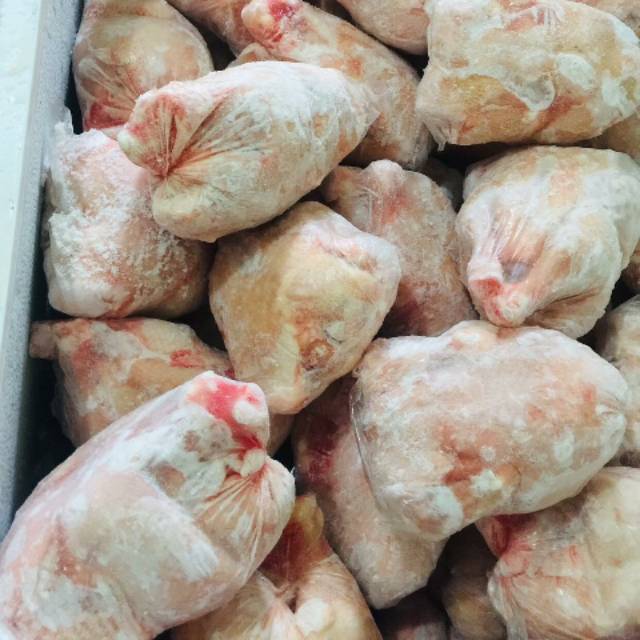 

Ayam Karkas Boiler utuh 1 ekor