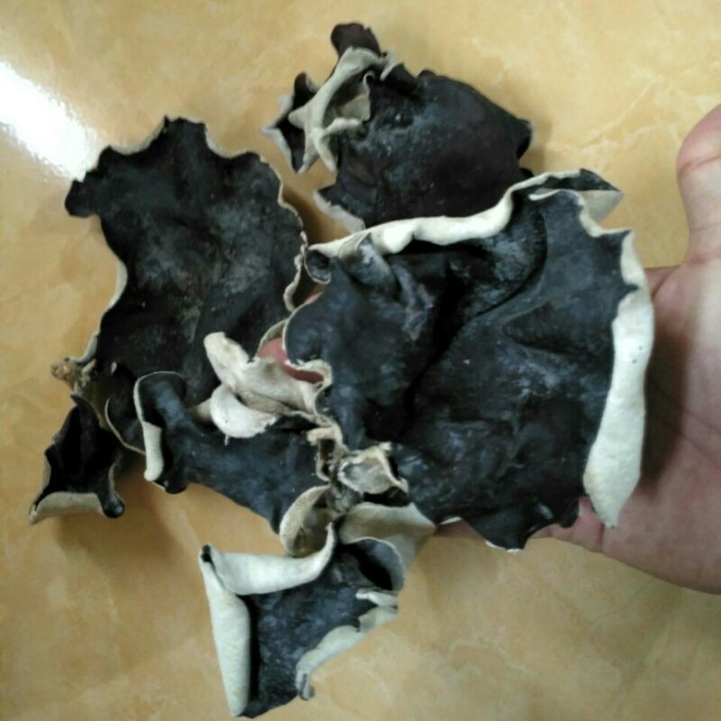 JAMUR KUPING KERING SUPER LEBAR KEMASAN SETENGAH KILO 500gr KILOAN