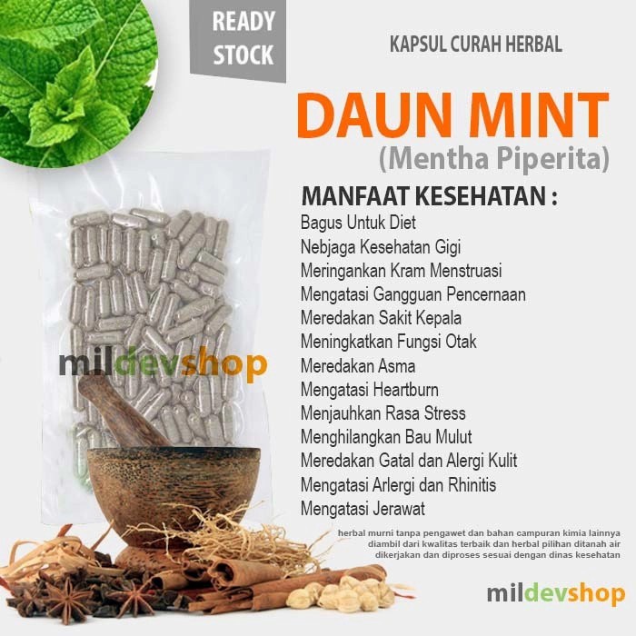 DAUN MINT 100 Kapsul Curah Herbal Diet Jerawat Fungsi Otak Stres Gigi