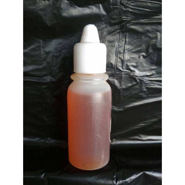 ESEN JAHE ESEN BIANG MURNI ESEN PENGUMPUL IKAN ESEN IKAN MAS ESEN IKAN ESSEN PENGUMPUL IKAN MAS