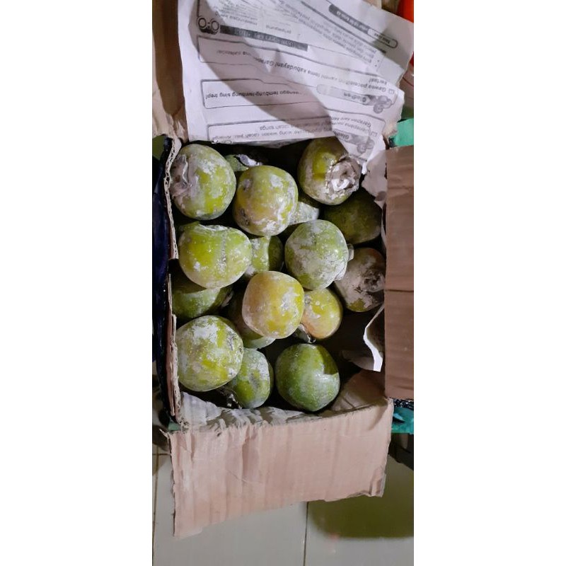 

Buah Kesemek Manis / Persimmon