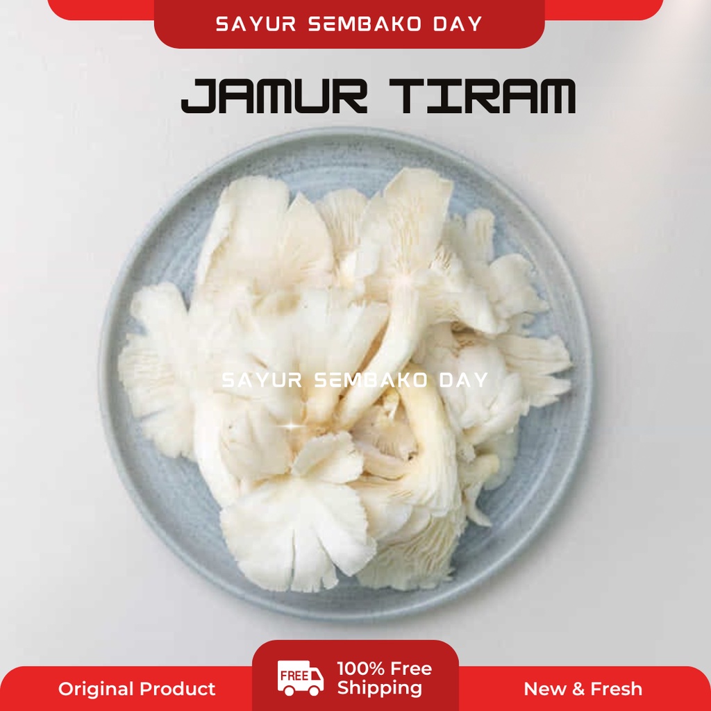 

Jamur Tiram Mentah Segar / Mushroom