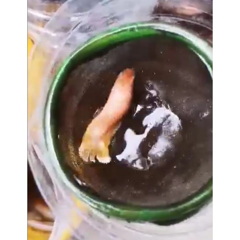 Female PKDT Soft Gold