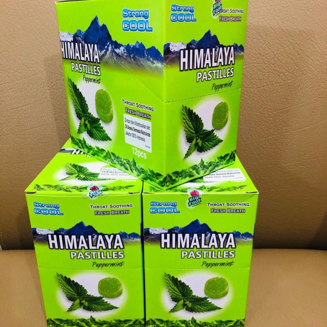 

Permen Himalaya pastiles peppermint (harga per 1 pc)