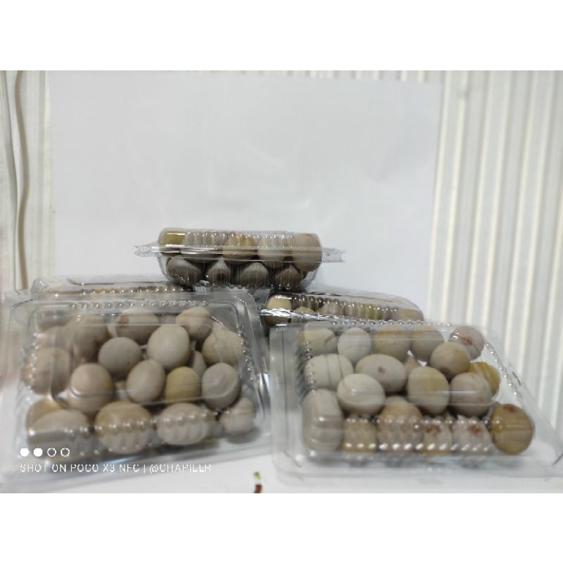 

Buah gorek/kalaloyang