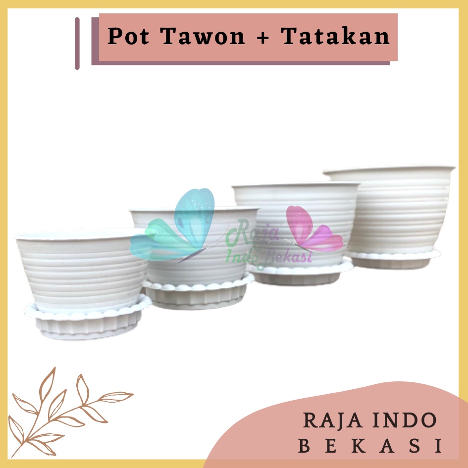 Pot Tawon 10 12 15 18 + Tatakan Putih-MDN Pot Bunga + Tatakan satu set dengan tatakan pot tawon putih pot tanaman hias bonsai kaktus Pot Bunga Murah Ukuran 15 18 21 24 27 cm