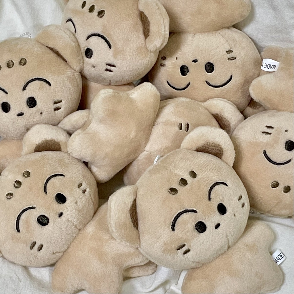 [settlement] nct mark 10 cm kwaong doll & clothes