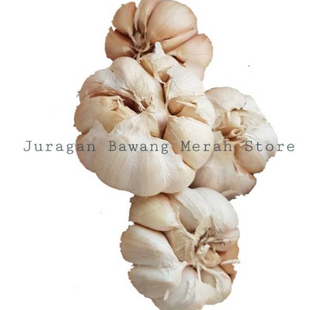 

Bawang putih 1 kg