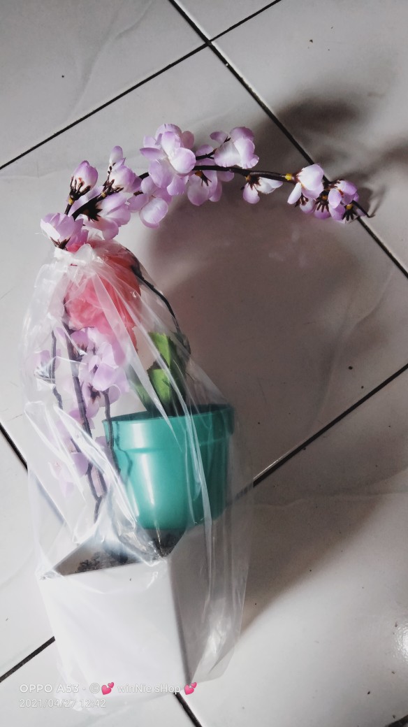 Ariani1318 Set Bunga Plastik Mawar A6070pi X6 Dengan Pot Plastik Tosca