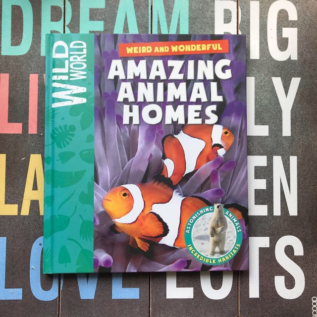 Buku amazing animal homes
