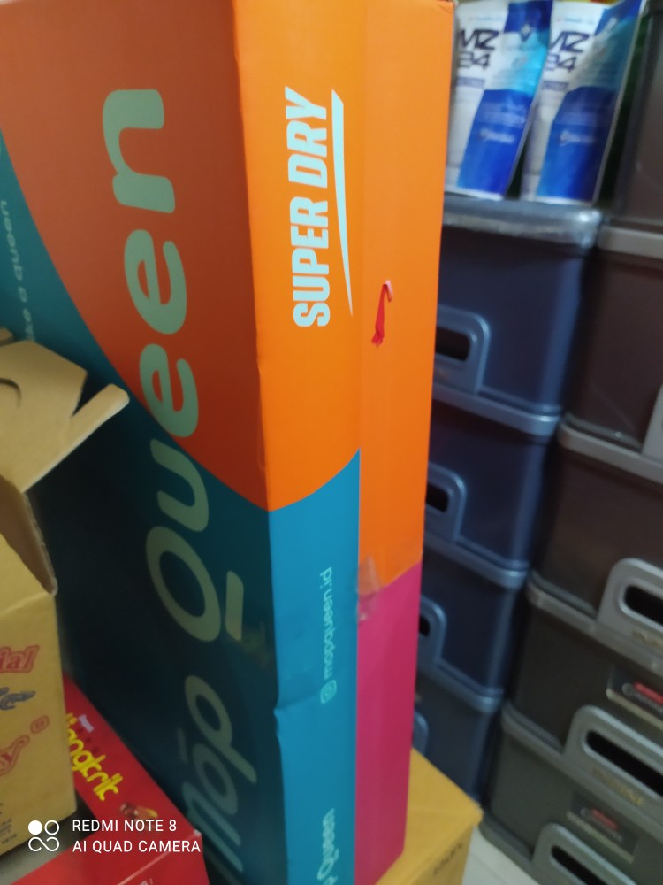 Mopqueen Mop Queen Duo Pel Lantai Stein Steincookware Sponge Chamois 1set