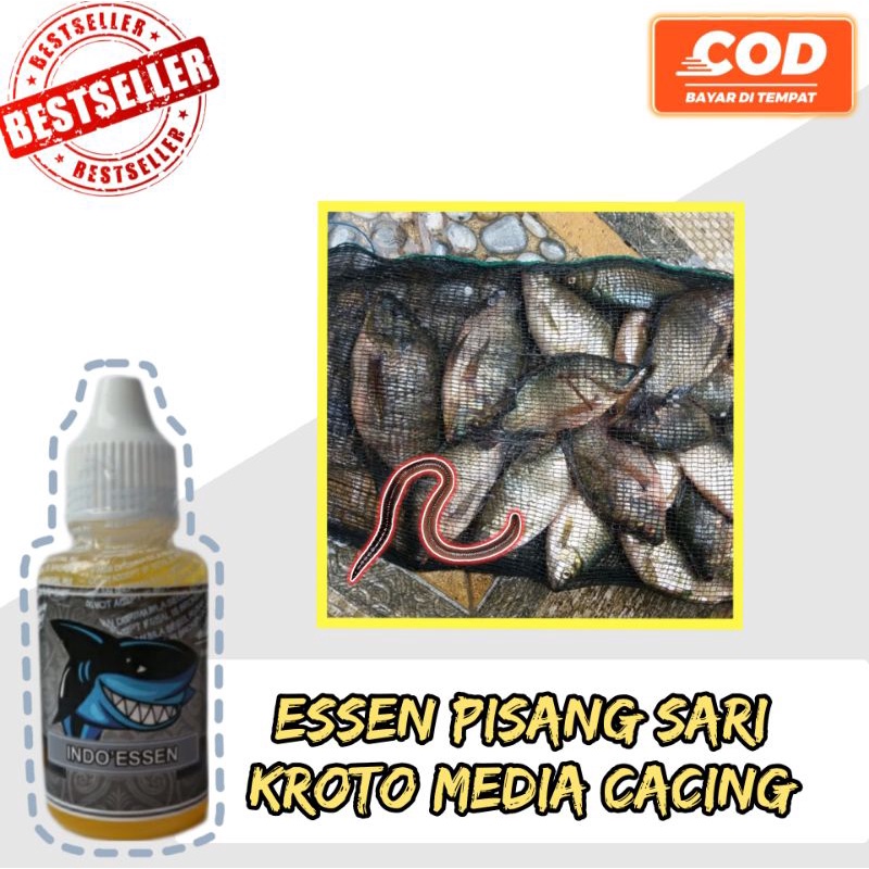 ESSEN BAWAL MEDIA CACING PALING NETER SAAT INI