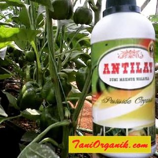 PESTISIDA ORGANIK ALAMI / OBAT HAMA TANAMAN (ANTILAT  