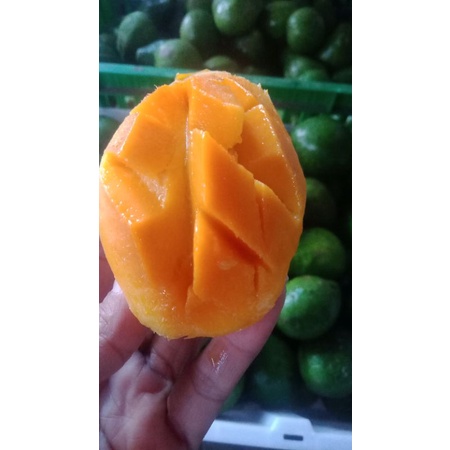 

mangga podang