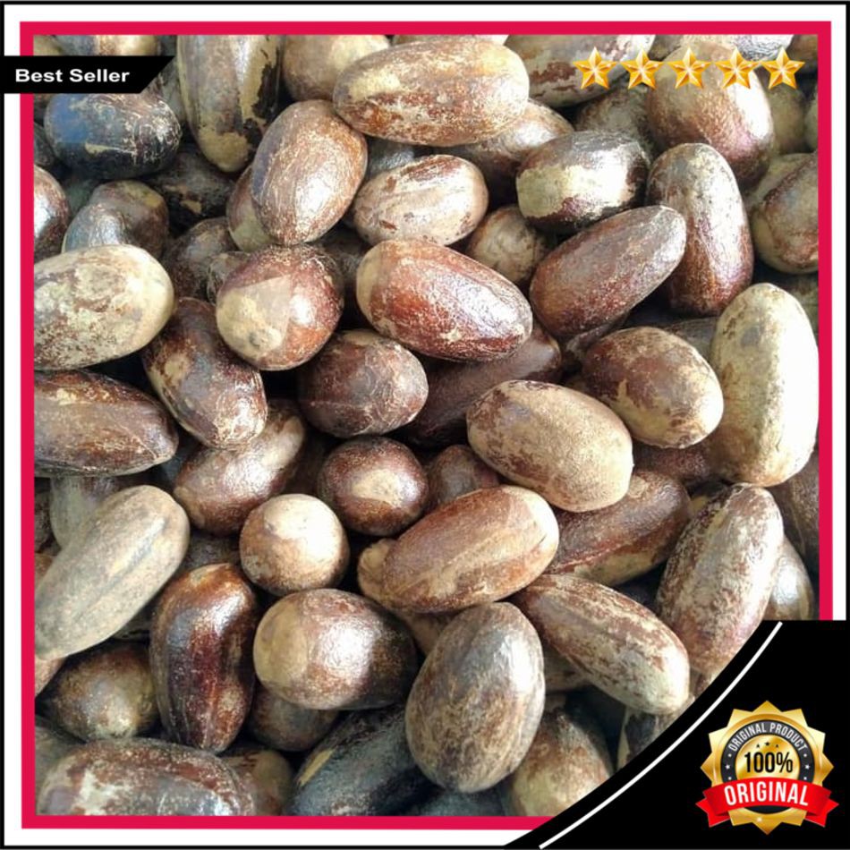 

COD Biji Pala Kering utuh 500gr / Biji Pala Lonjong Kering