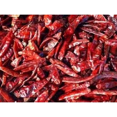 

Promo Terbatas - Cabe Merah Kering / Cabai Kering / Cabai Merah