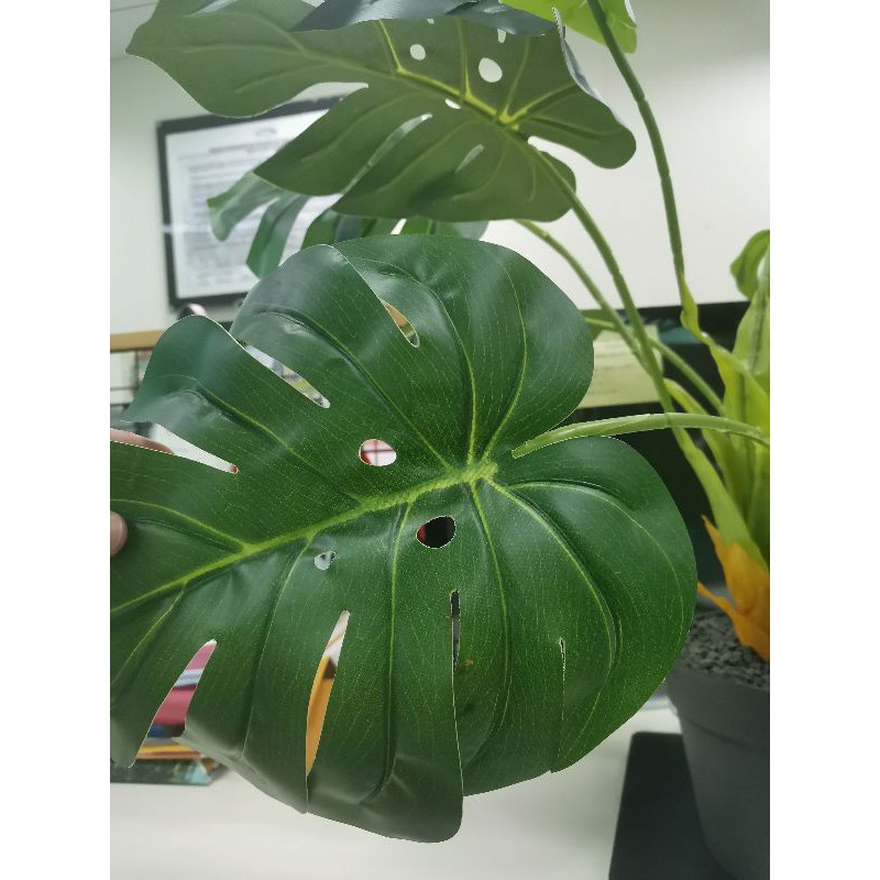 Monstera artificial informa