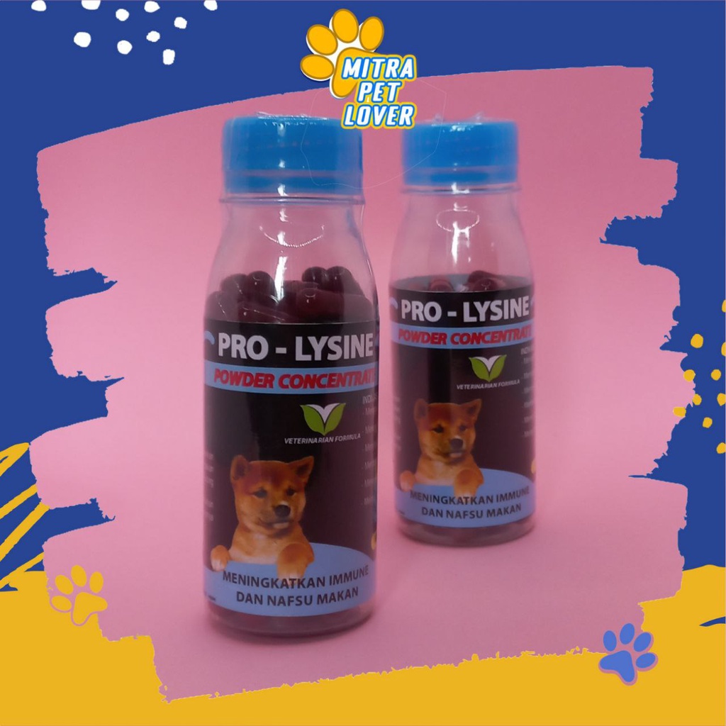 VITAMIN IMUN ANJING - PROLYSINE DOG 50 CAPS ORIGINAL - KAPSUL SUPLEMEN UNTUK TINGKATKAN IMMUNE HORMON ENZYM ANTIBODY DOGGY MENAMBAH NAFSU MAKAN PRO LYSINE CEGAH FLU - ANIMAL HEALTHCARE AND VETERINARY TAMASINDO OBAT HEWAN BINATANG PELIHARAAN MITRAPETLOVER