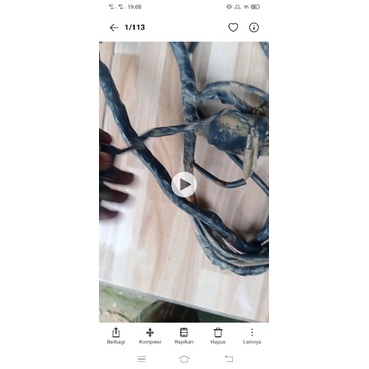 kabel bodi jupiter z