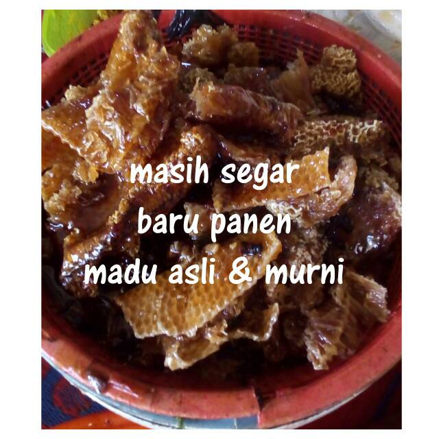 

MADU HUTAN ASLI