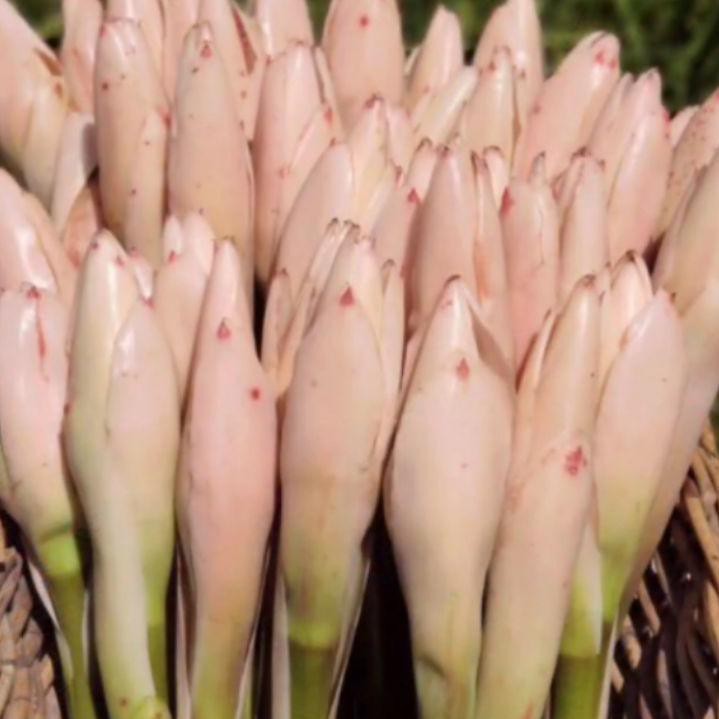 

DISKON BRANDS FESTIVAL BUNGA KECOMBRANG / 500gr - 1kg