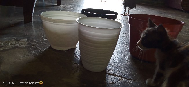 Pot Bunga Tanaman 15 Cm Hitam Merek Made Indonesia Free Bubble Ketentuan Berlaku