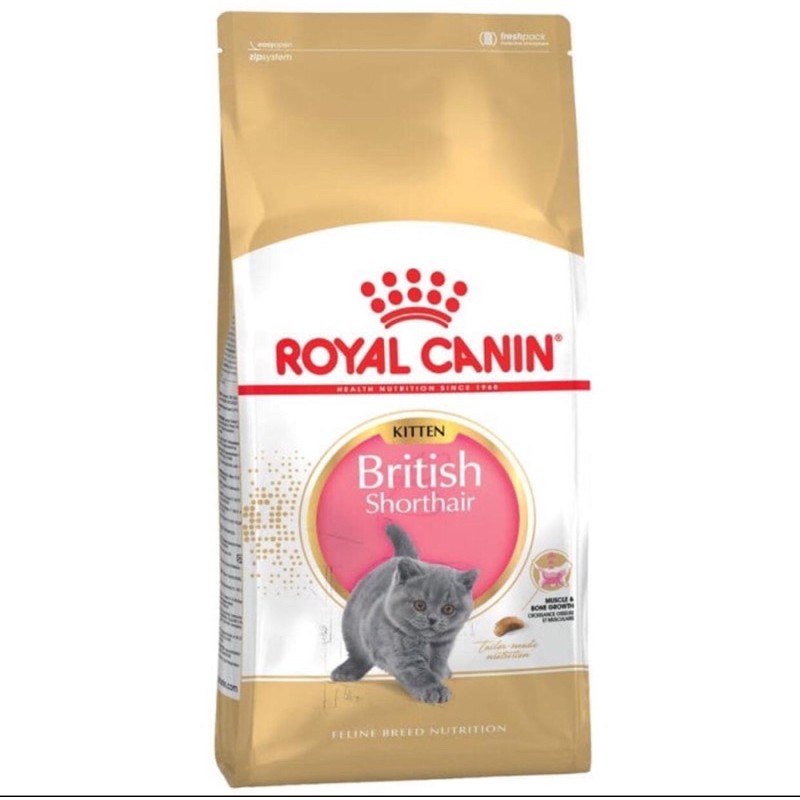 ROYAL CANIN BRITISH SHORTHAIR KITTEN 400gr / BRITISH SHORTHAIR KITTEN