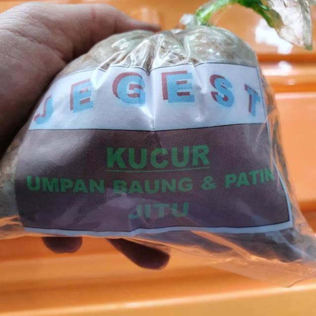 KUCUR JEGEST PALEMBANG