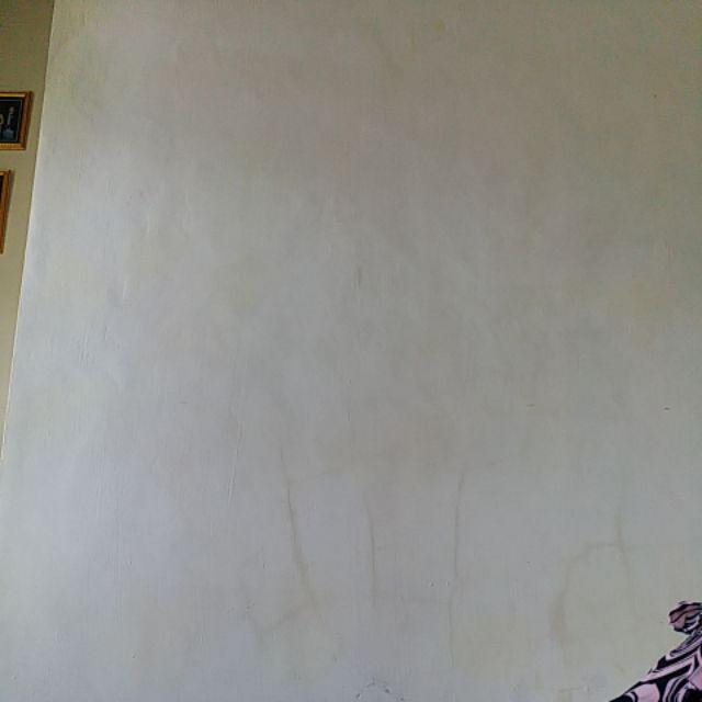 Timbanga Dapur Kitchen Scale Sea Lion