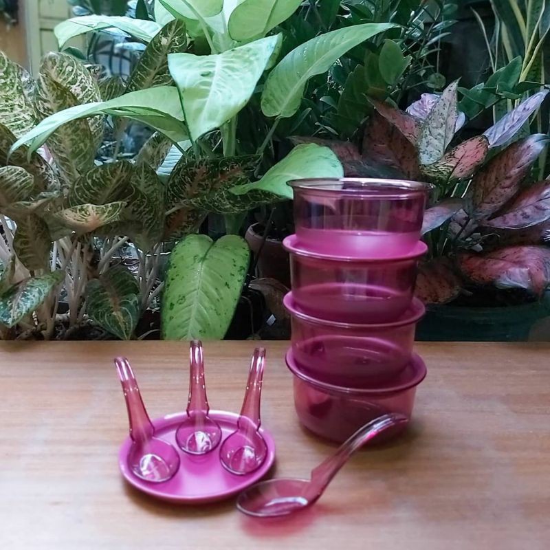 fuchsia personal bowl (1) with spoon