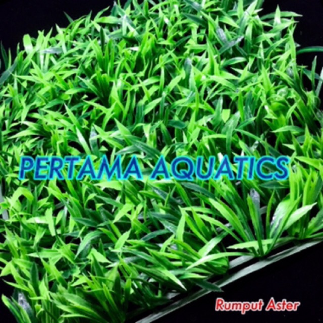  RUMPUT  AQUARIUM RUMPUT  ARTIFICIAL RUMPUT  HIASAN  DINDING  