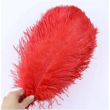 Colorful Ostrich Feather Artificial 30-35cm (1pc)